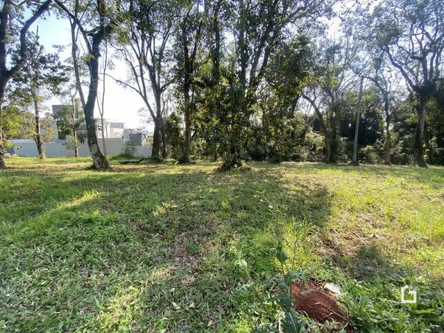 Terreno, foto 2