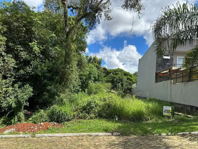 Fachada de uma casa com vegetação densa ao fundo.