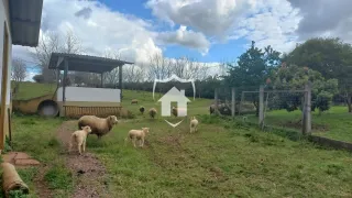Área rural com 3 dormitórios, foto 6