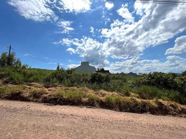 Terreno