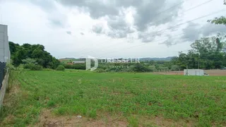 Campo verde com vegetação e árvores ao fundo.