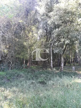 Área rural, foto 17