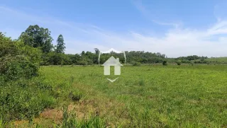 Campo verde com vegetação densa ao fundo.