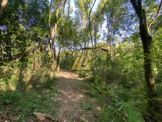 Área rural com 2 dormitórios, foto 20