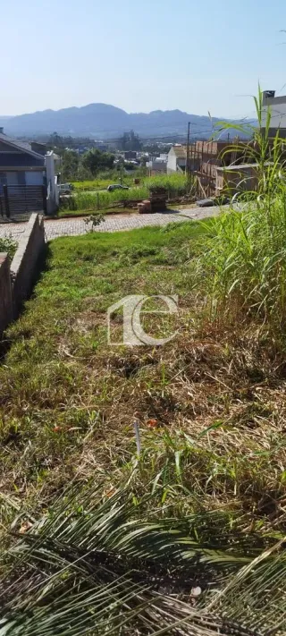 Terreno, foto 6