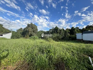 Campo de grama verde com vegetação e árvores ao fundo.