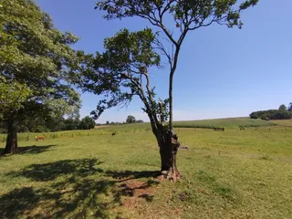 Área rural com 3 dormitórios, foto 20