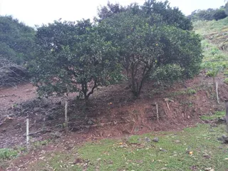 Área rural com 2 dormitórios, foto 16