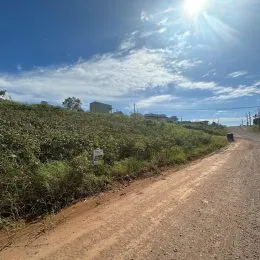 Terreno, foto 2