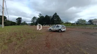 Vista de um terreno aberto com vegetação rasteira e uma estrada no fundo.