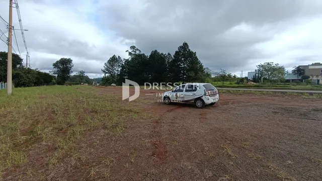 Vista de um terreno aberto com vegetação rasteira e uma estrada no fundo.