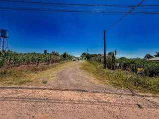 Uma estrada de terra leva a um campo com vegetação alta.