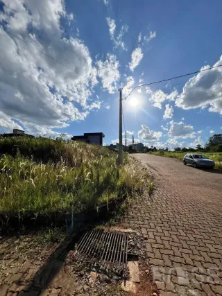 Terreno, foto 3