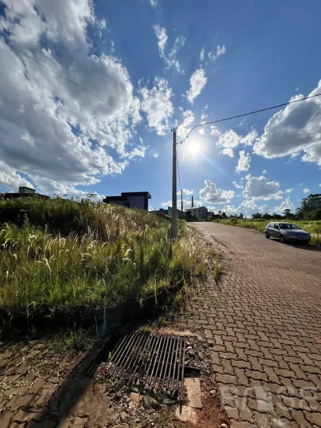 Terreno, foto 3
