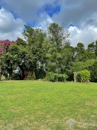 Área rural com 3 dormitórios, foto 6