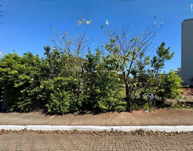 Terreno