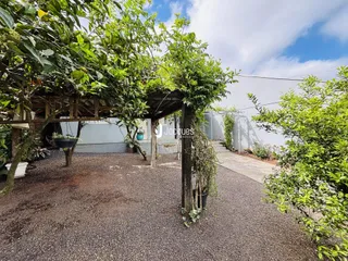Vista externa de um jardim com vegetação densa e estrutura de madeira.
