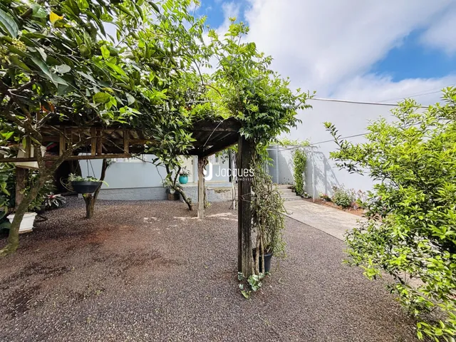 Vista externa de um jardim com vegetação densa e estrutura de madeira.