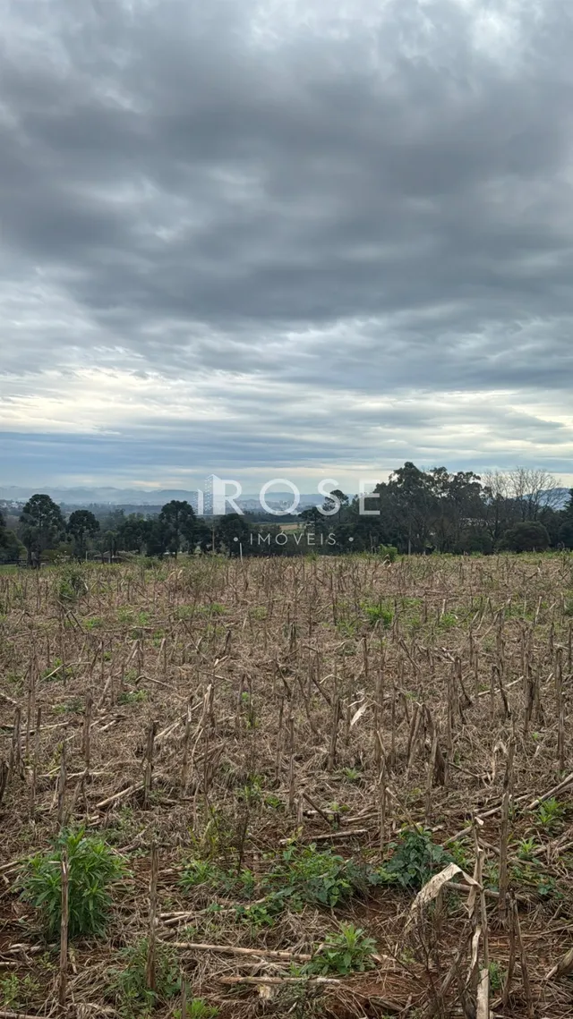 Área rural, foto 4