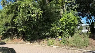 Terreno, foto 1