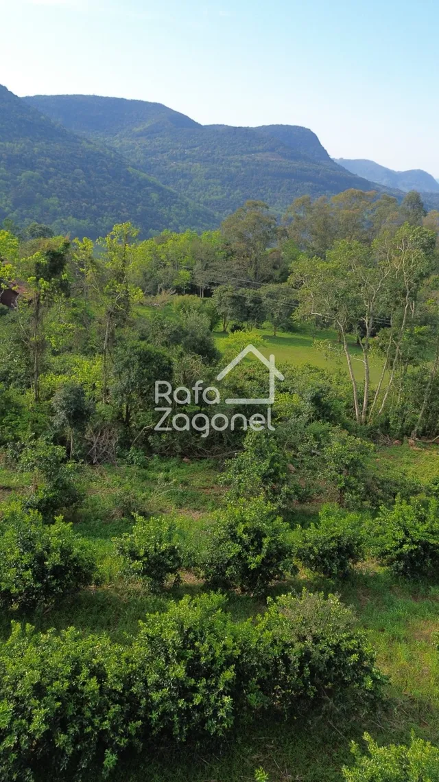 Área rural, foto 4