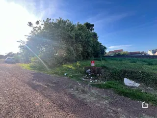 Vista da propriedade com vegetação e estrada de terra.