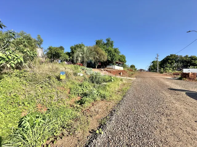 A paisagem exterior da propriedade mostra uma estrada de terra e vegetação densa ao longo da divisa.