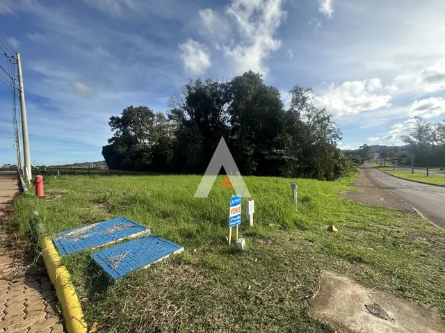 Terreno, foto 2