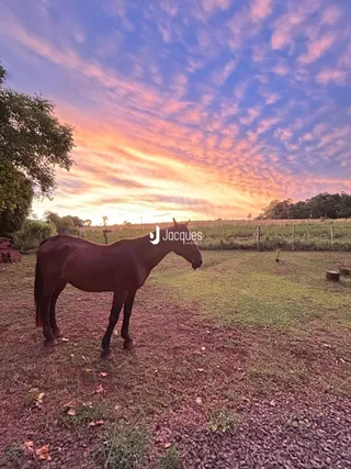 Área rural com 3 dormitórios, foto 13