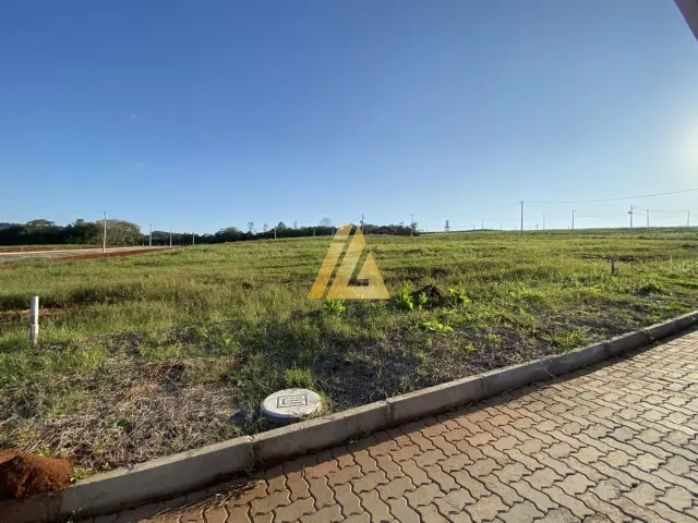 Terreno, foto 2