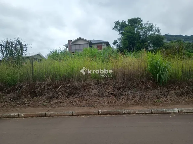 Terreno