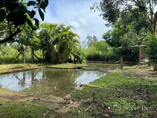 Área rural com 4 dormitórios, foto 8
