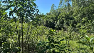 Área rural com 3 dormitórios, foto 48