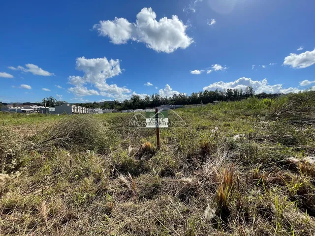 Paisagem de campo seca com vegetação alta sob um céu azul e nuvens.
