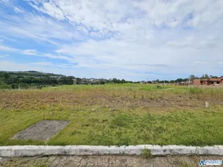 Paisagem de campo com vegetação verde e colinas ao fundo.