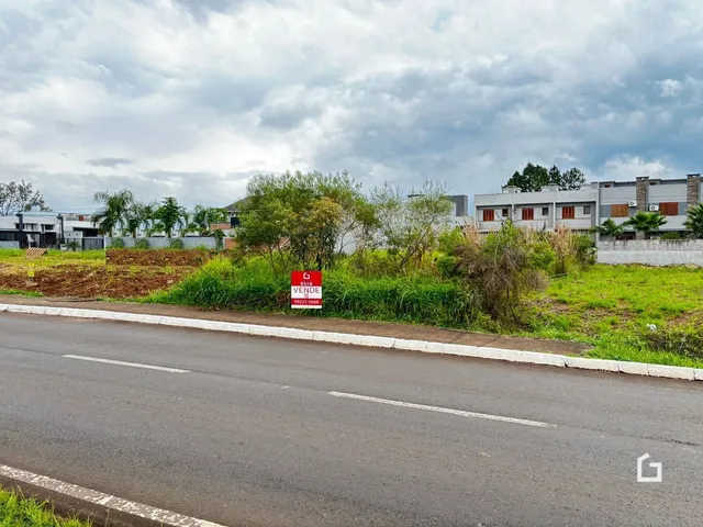 Vista externa de uma propriedade com vegetação e estrada no primeiro plano.