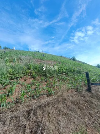 Paisagem de colinas verdes com cerca de arame em um campo.