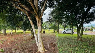 Vista de uma área arborizada com árvores grandes no quintal.