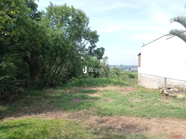 Vista externa da propriedade com vegetação densa e parede branca.