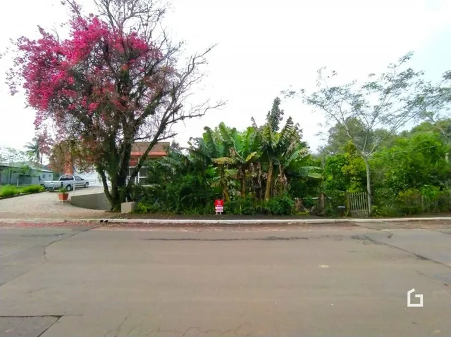 Vista da fachada da propriedade em Lajeado com vegetação ao lado da rua.