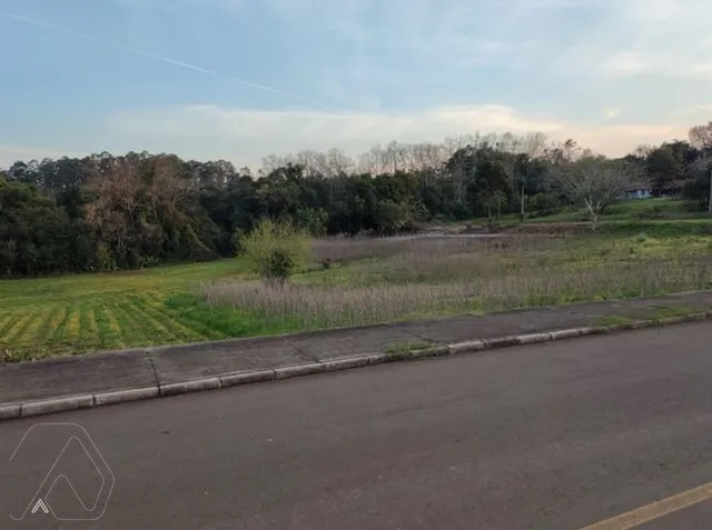 Terreno, foto 2