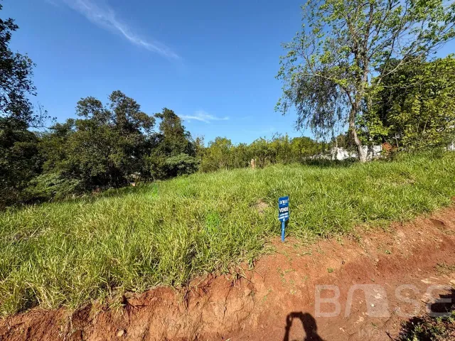 Terreno, foto 2