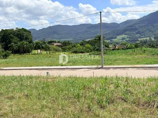 Terreno, foto 5