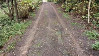 Área rural com 2 dormitórios, foto 3