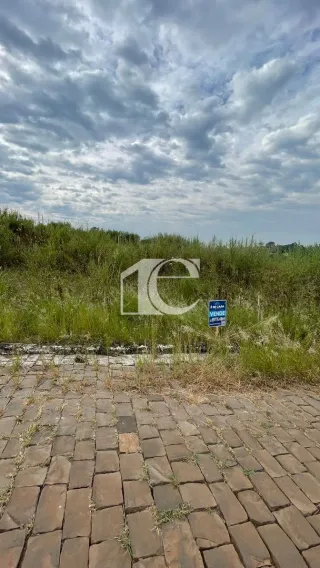 Terreno, foto 3