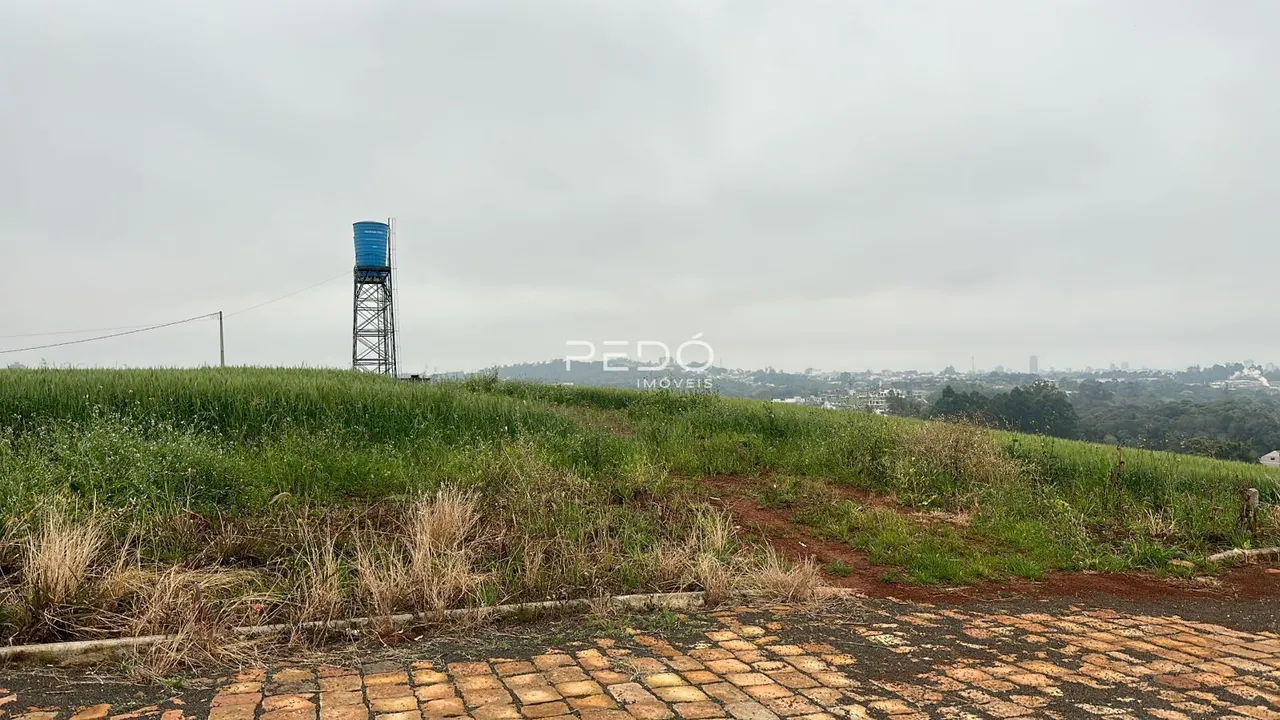 Terreno, foto 1