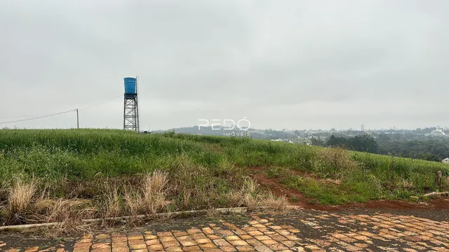 Terreno