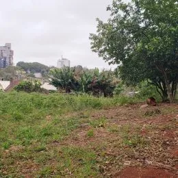 Paisagem externa mostrando grama e vegetação sob um céu nublado.