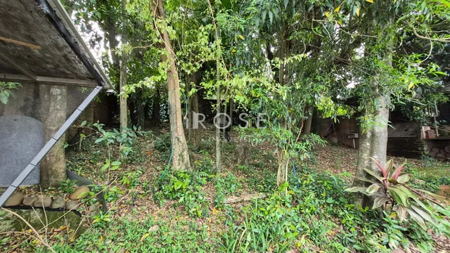 Casa com 4 dormitórios, foto 4
