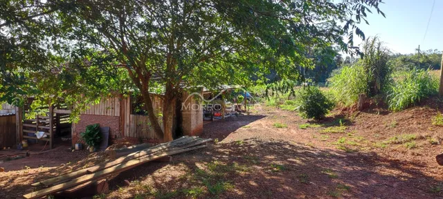 Área rural, foto 4